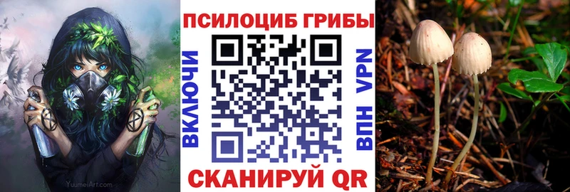 Купить  Курильск  Псилоцибиновые грибы ЛСД 