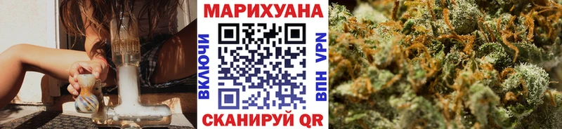 Конопля семена  Купить где  Курильск 